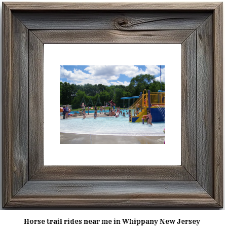 horse trail rides near me in Whippany, New Jersey